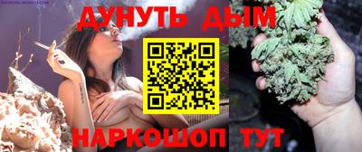 гидра Берёзовский