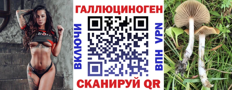 где найти наркотики Сургут KRAKEN как войти Галлюциногенные грибы Magic Shrooms