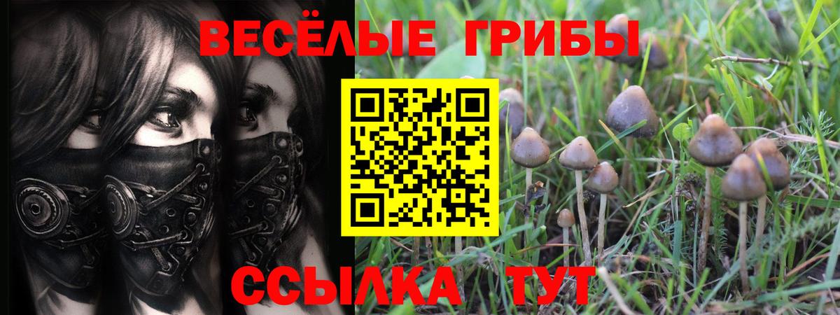 Псилоцибиновые грибы мухоморы Сургут